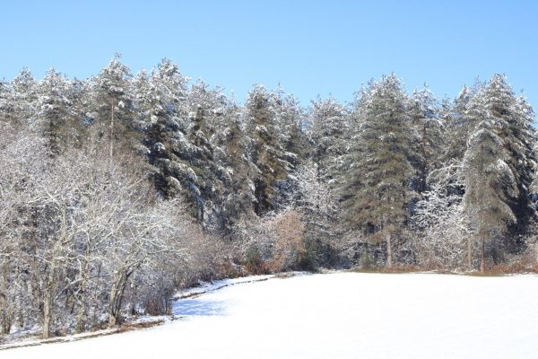Pour les vacances ⛷️