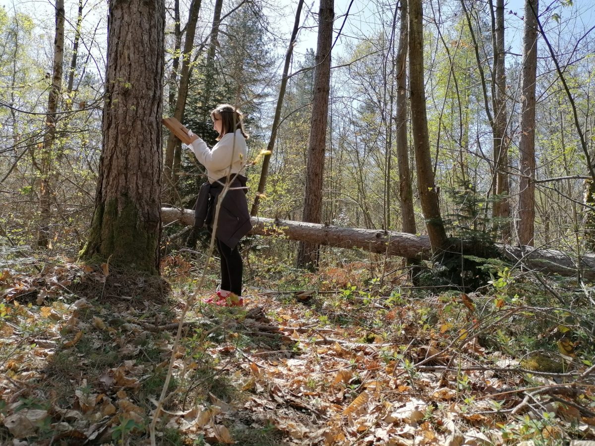 Parcours d'orientation, Cardeilhac, activité famille, activité en extérieur