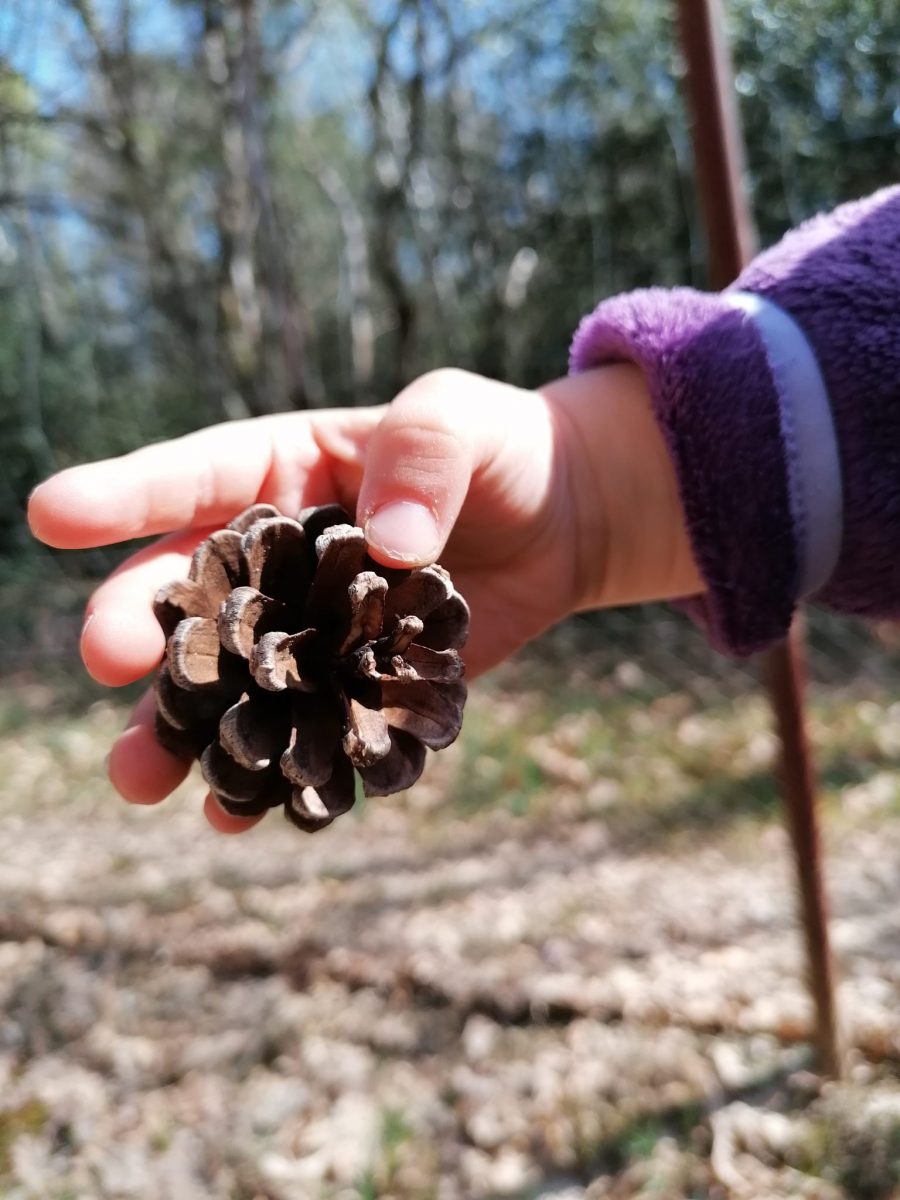 activité, famille, comminges, pyrénées