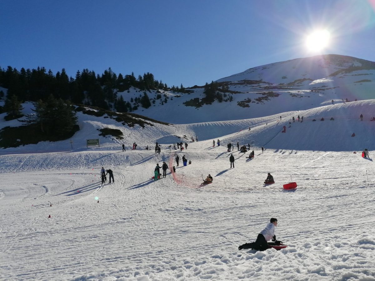 Espace luge Nistos