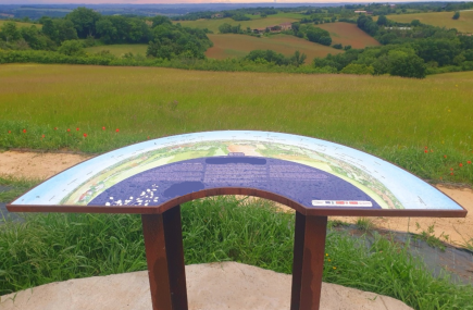 TABLE D&rsquo;ORIENTATION DE BALESTA