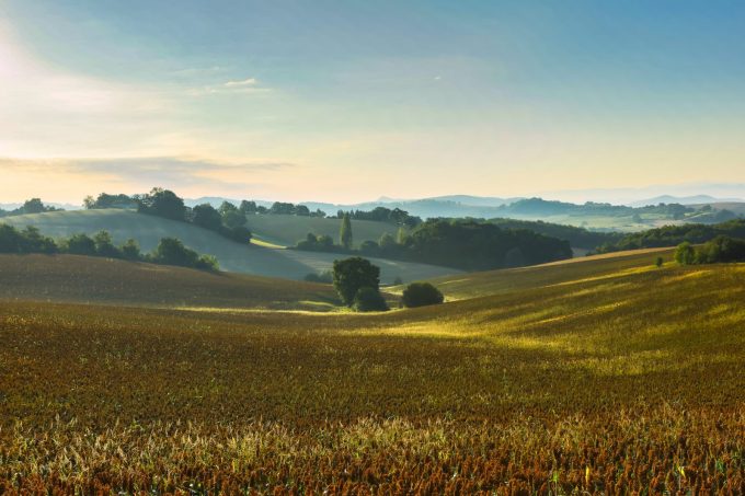 -F5A0534-Manuel-Huynh