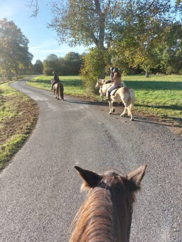 20251028-164355-768×1024–1-