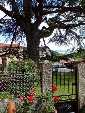 2026-gites-des-cedres–1—65-