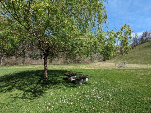 31G100024-4acaa9528a814e16945064f2c9e82334