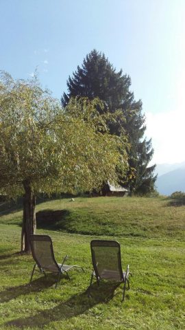 31G100024-53c9e8bcff1e4e7f94b422f771fd9d01