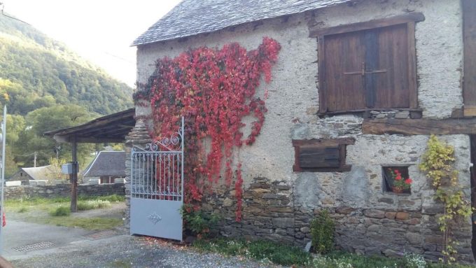 31G100024-afbec70f64854bf798c4ed3e0da1d988