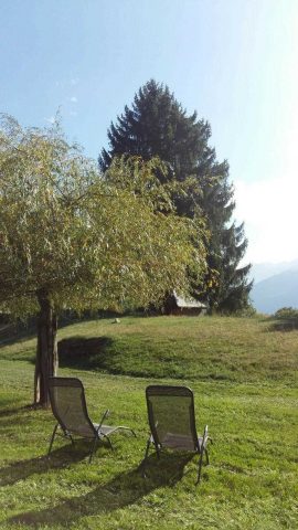 31G100024-b23af496f8ce4e17941e8579a838e682