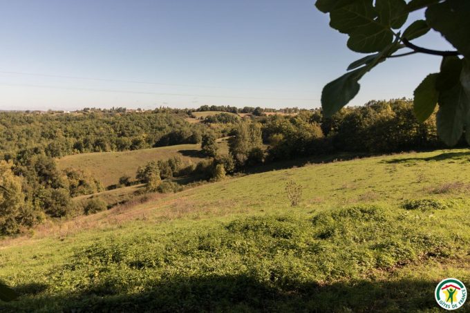 31G100135-e8ce001ef28744358e7adf862e3e70ba