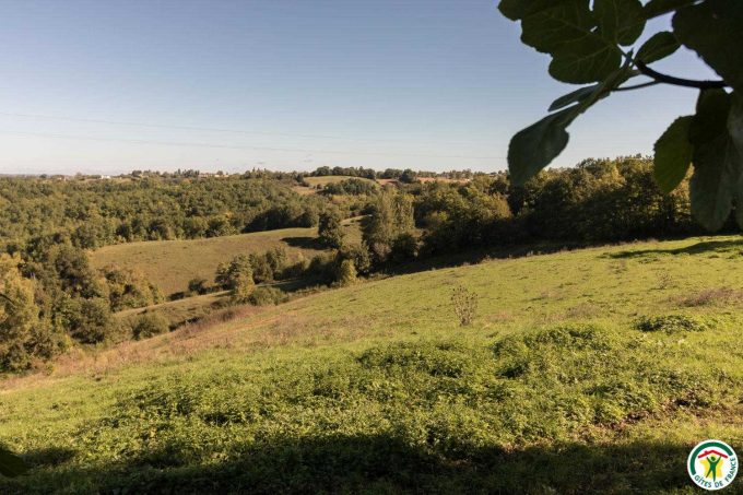 31G100135-f59fcc61f9f144448ca51e367a2dc828