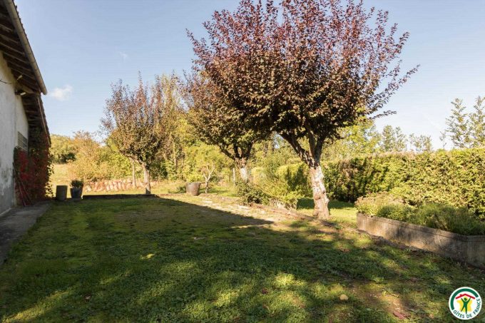 31G100135-fe14e6abbecd4d4fa55f361933d34ddb