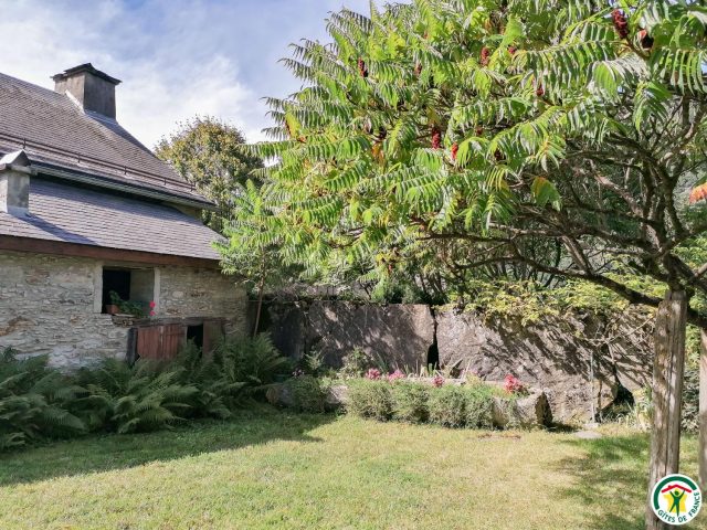 31G100241-ff58984657214ff583d06a0d2b304b25