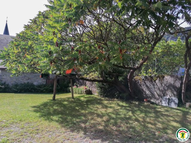 31G100242-362856165be04eacb819821403e8eb81