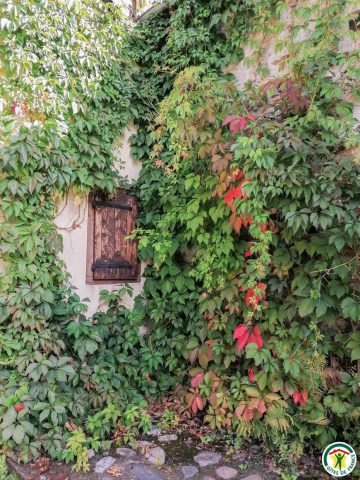 31G100242-eb8210b1c344446c8c373bc97c53f376