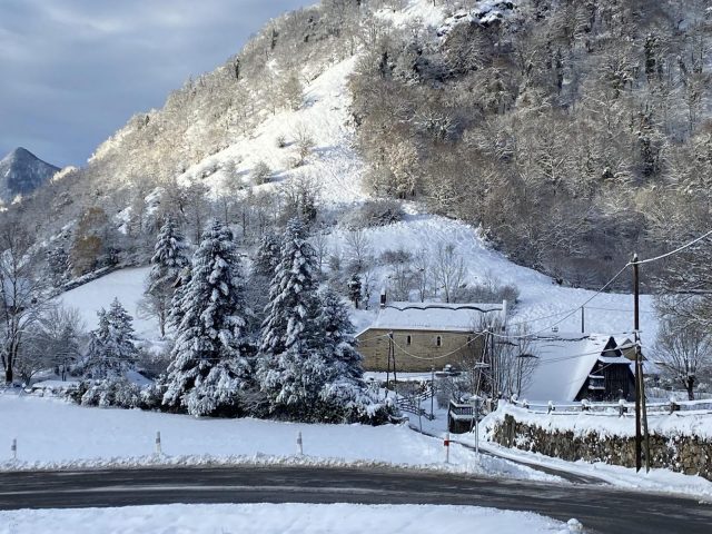 31G100245-289bc02187ba489b8f954171af1bfa4d