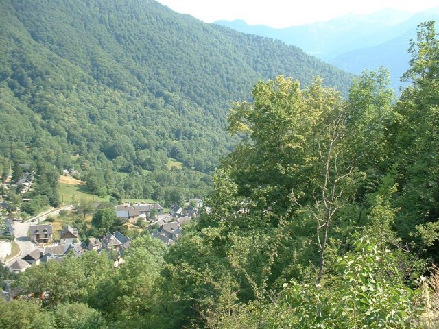 31G100245-3ff0f67c3ce743f89726a2443e3caa3b