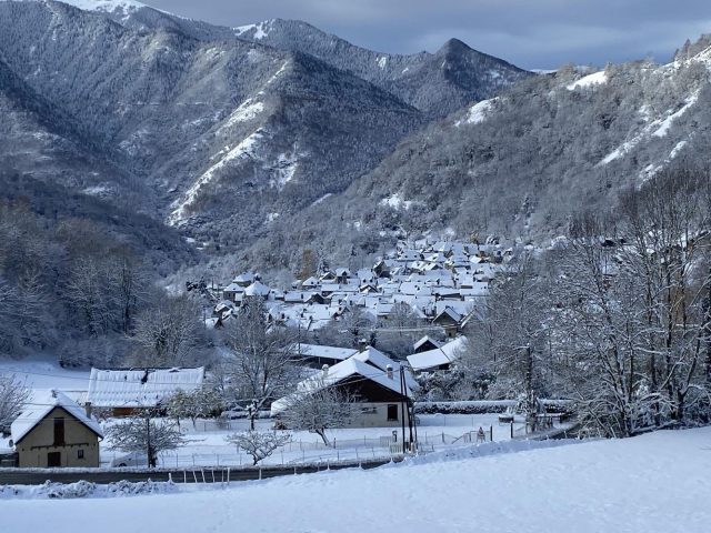 31G100245-ac53e9aadaf1412e87dd862250830399