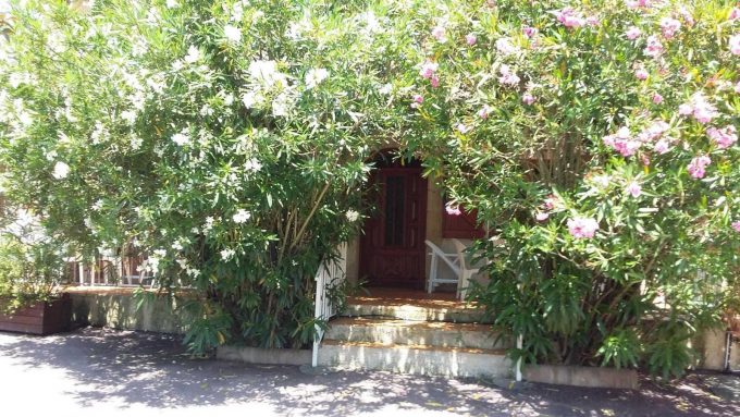 31G100253-4f4161951e7d41c68a9894e74ba28894