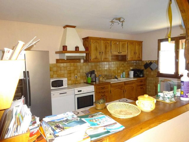 31G100253-f868b88235604f77802c2fc81366c911