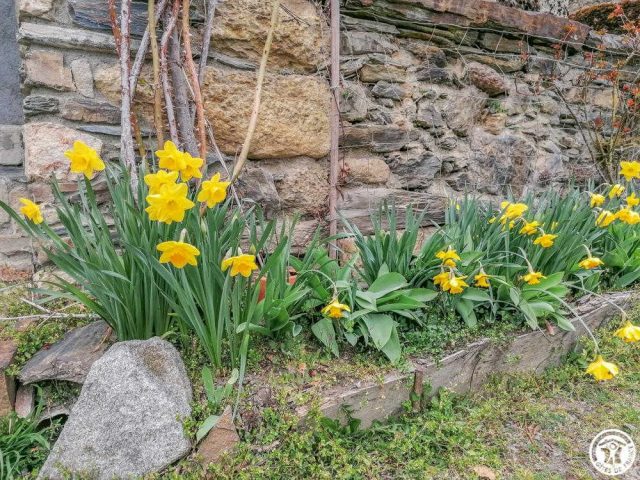 31G100264-b8e78c6399a94006a287dcbc58d594bc