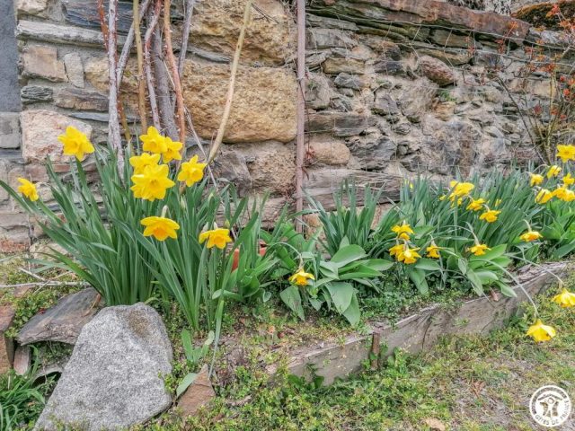 31G100264-cfd368fde0324523a18b33f8d00db310