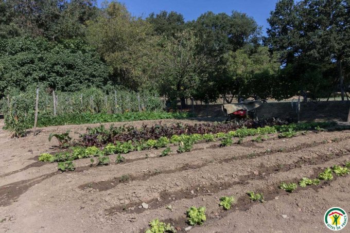 31G100307-1d41fc4029e94ca6a0ef26b48d9c1b7f