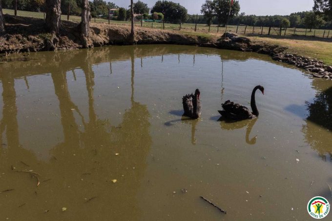 31G100307-a3826f0cd978420a8d0845c68040719b