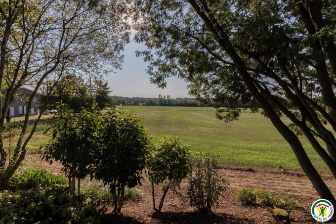 31G100307-da4210b9285149e6bf297ea904a6efbb