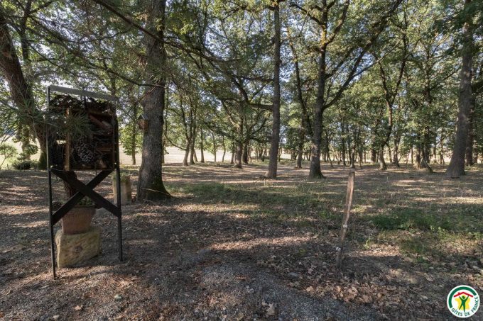 31G100307-e157df660da046528d9c789b0c4281e8