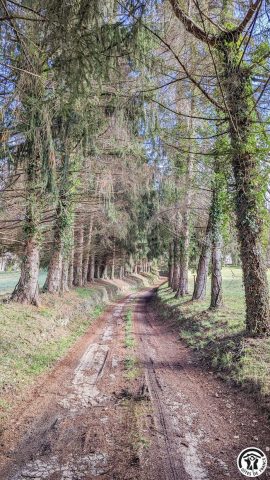 31G100310-1f025df9712641c1979ac5fbcd9df060