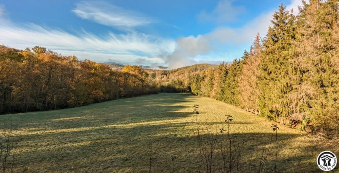 31G100310-6399c85eecbb4c8ba7c1dd6862965be2