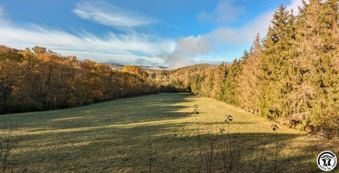 31G100310-6cfc319e66cc487caeba7303cadd077c