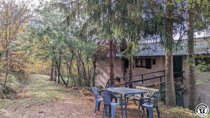 31G100310-9a905f867c524ee58ca00813dbae55c0