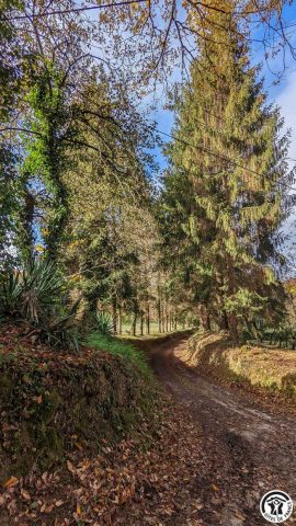 31G100310-ae076e28caaa4bbabcc7a1df4fd991fd