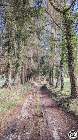 31G100310-b034393fc5584b8a993fc981abcea570