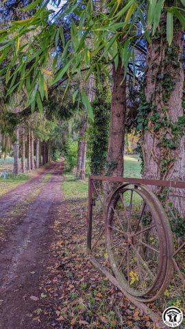 31G100310-ca3cc3301d74431b94e47ff06a91e2be