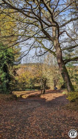 31G100310-df2199cf91b8466686d9777448c5d68e