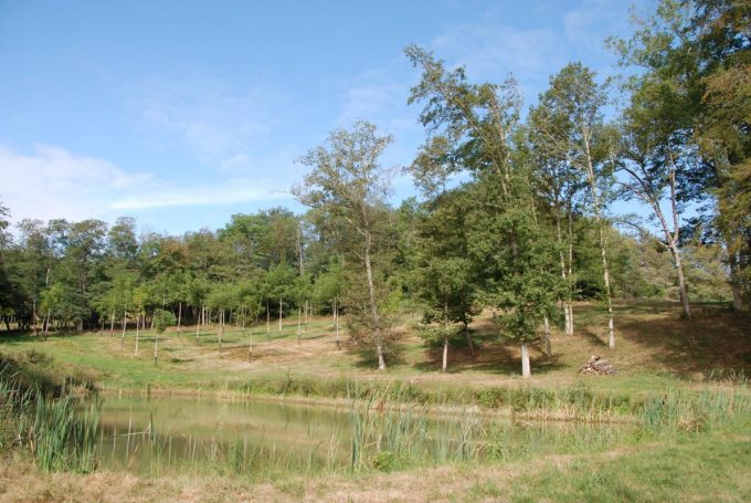 31G100342-8c4e3039b0c2436db4e915e722aa02c1