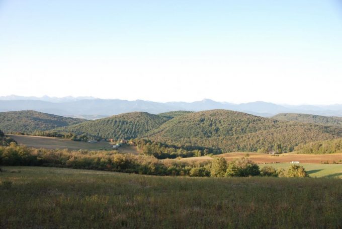 31G100342-a6a8494c7f6d40c3906f4b6e0461bfc8