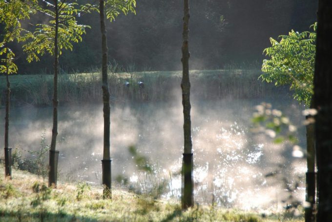 31G100342-bca98f672af24d9bad0571617dd72eea