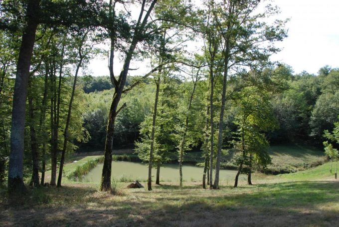 31G100342-ebff5879fe0949578965a37c18e36fe4