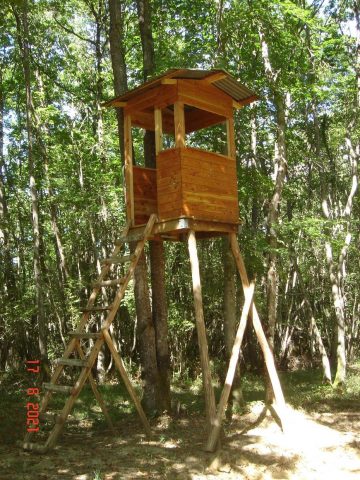 31G100342-f614183c61ef4dc9ac5b2525336a0c7b