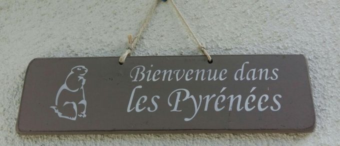 31G100355-21f751416ab447079e7162a2b4e7030d