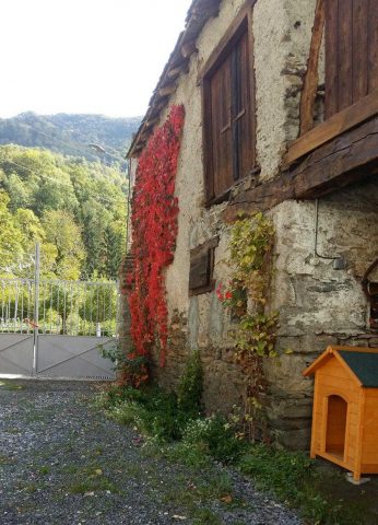 31G100355-52e4372c5e4346288267704599cd15bc