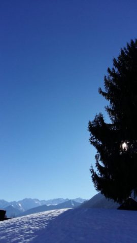 31G100355-72d39fcc58a245cba42e2d7c6615ad62
