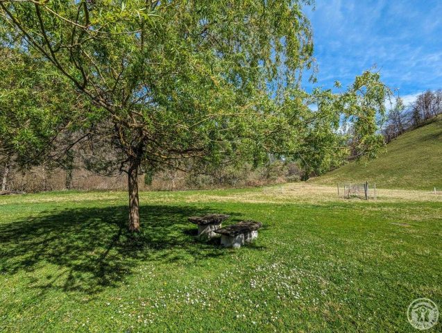 31G100355-9159176b4c0b4d518904e81e915e64b8