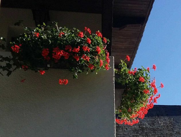 31G100355-ccd9e314963f4a889affb0919fb4eb98