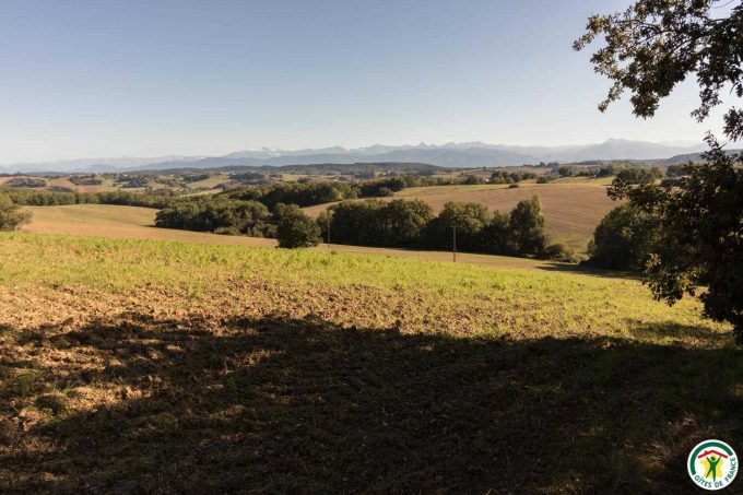 31G100358-1f1df252afe4433cb129036c988a5b1a