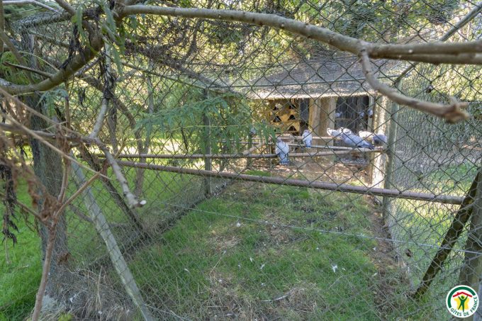 31G100358-50d80c09e94f49a9bcf128e2f424f9e1