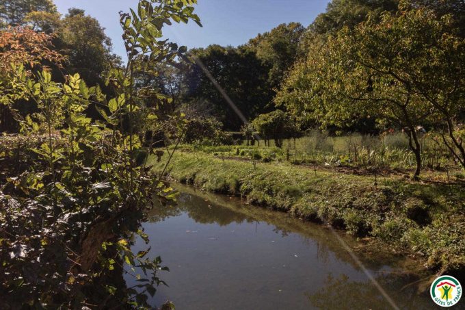 31G100358-71a308d373154878b67a0d245e512cf0